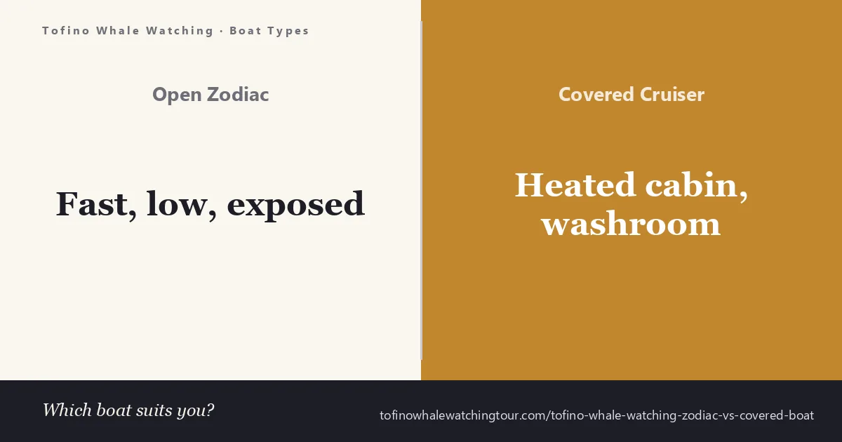 Tofino whale watching Zodiac vs covered boat — an open inflatable and a covered cabin cruiser compared